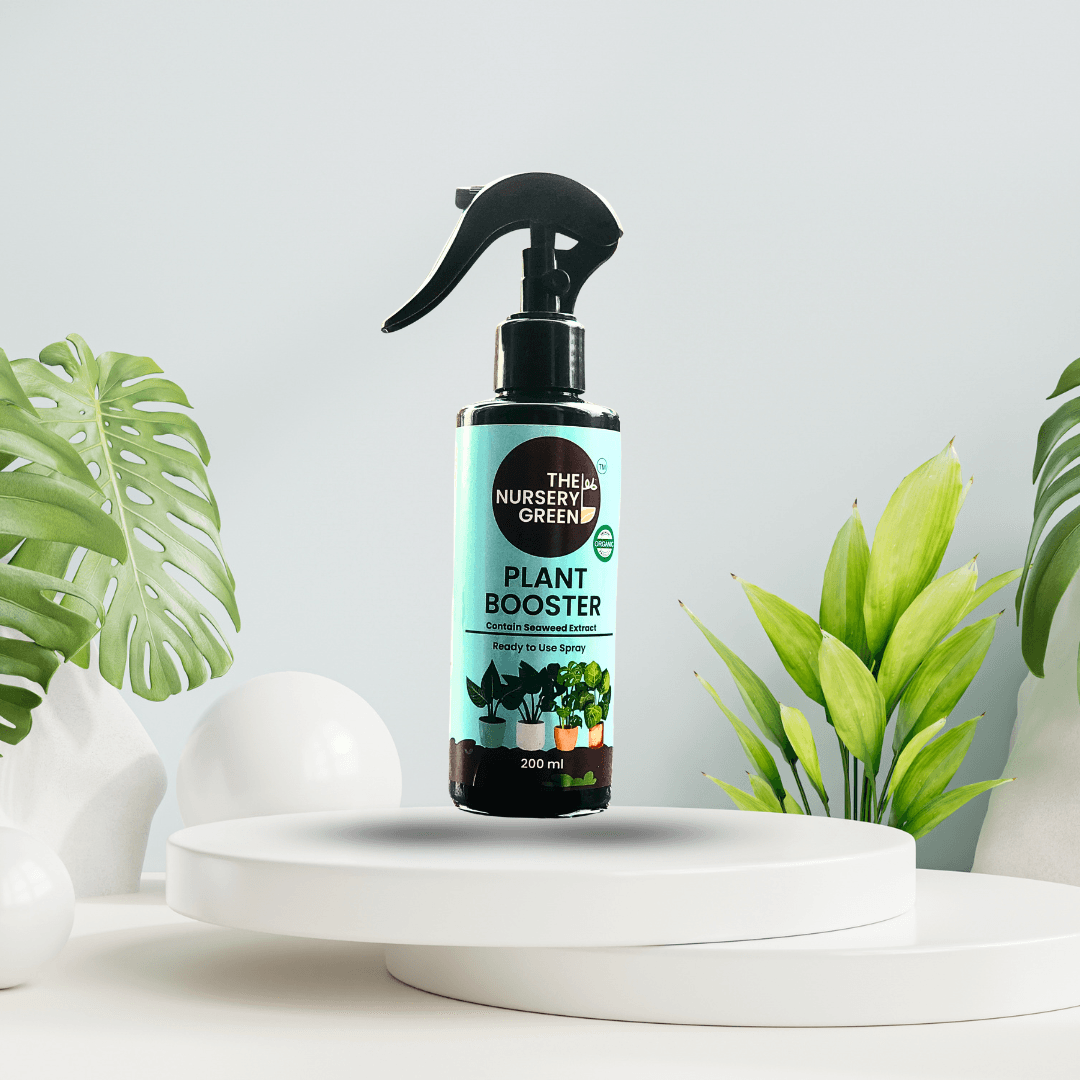 Plant booster spray online